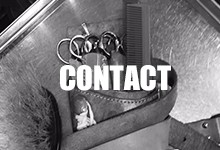 CONTACT